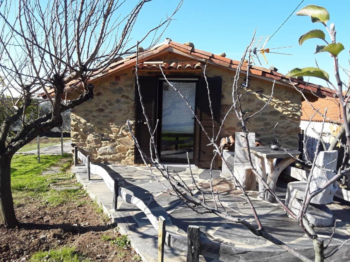 Pedrógão PequenoA Casa Do Moinhoアパートメント エクステリア 写真