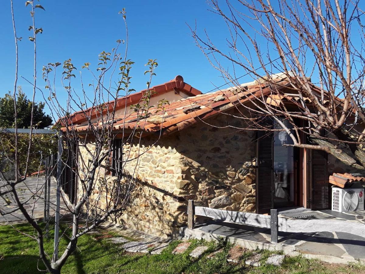 Pedrógão PequenoA Casa Do Moinhoアパートメント エクステリア 写真